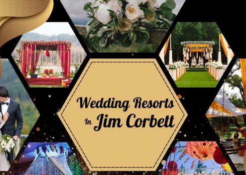 Jim Corbett Best Wedding Resorts