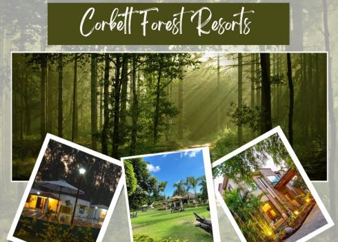 Corbett Forest Resorts