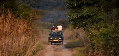 Best and Cheapest Tour Packages Jim Corbett National Park